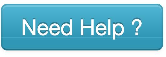Screenshot of Need Help button